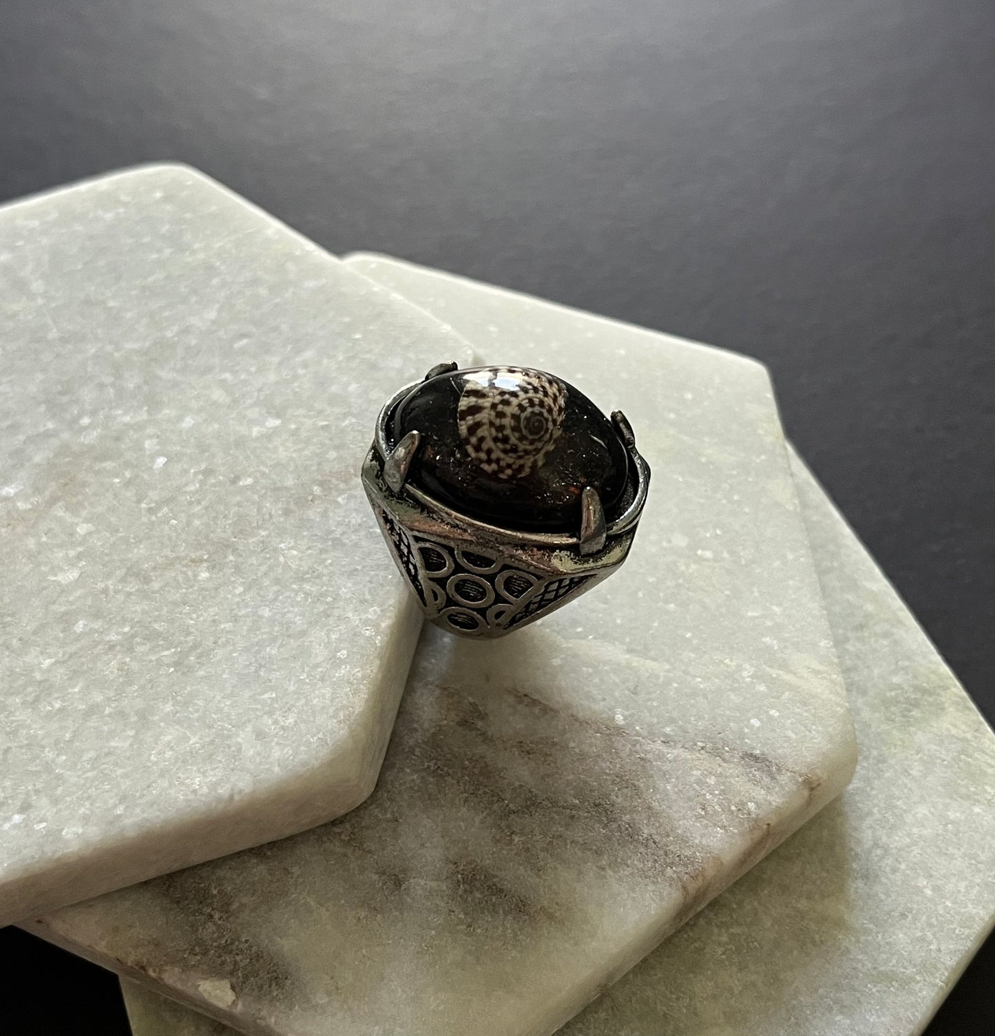 Genuine Fossil Shell Stainless Steel Ring