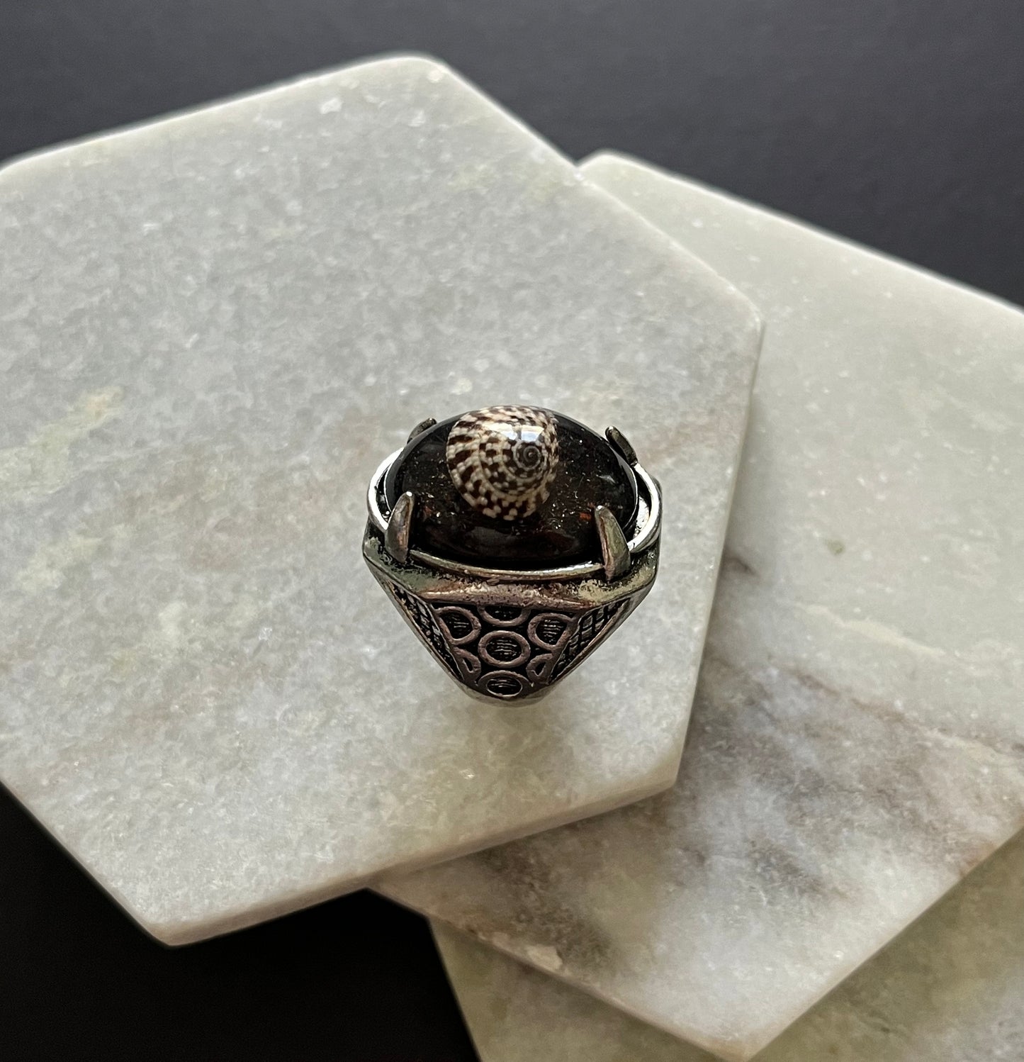 Genuine Fossil Shell Stainless Steel Ring